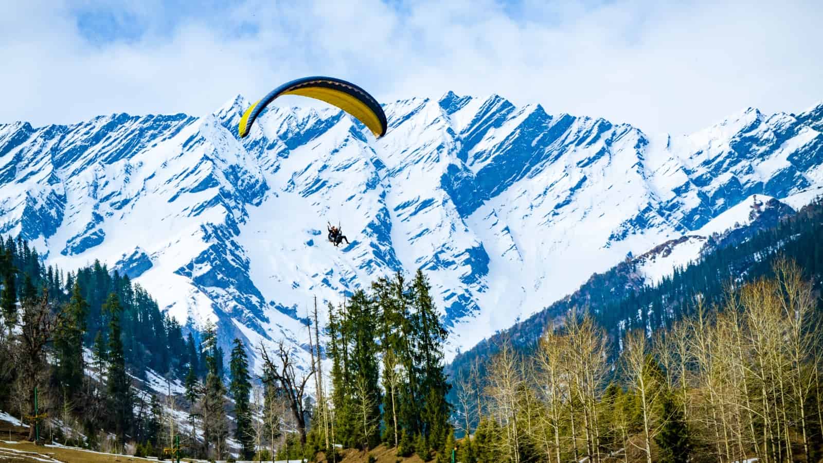 manali shimla